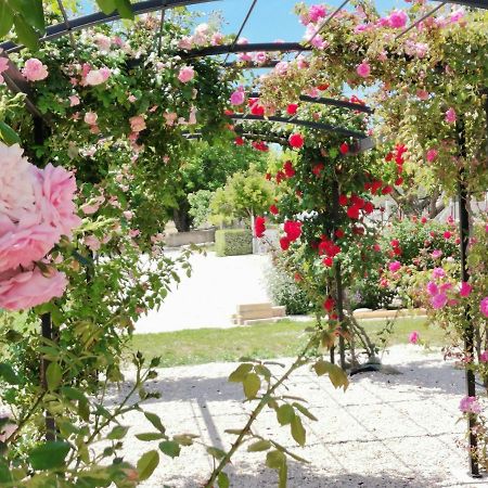 Gite En Provence Lavande Modene Exterior foto